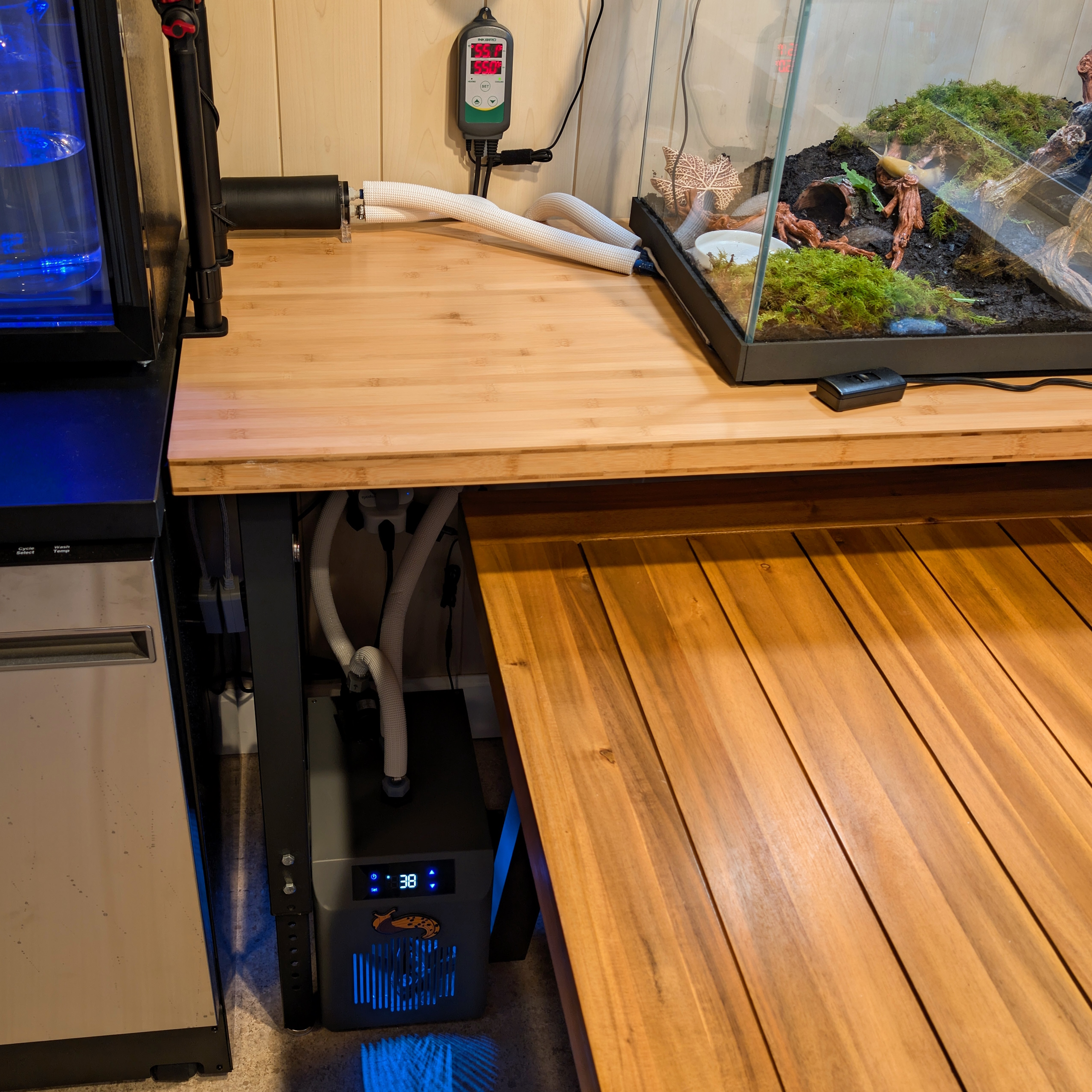 Assembled terrarium cooling system.